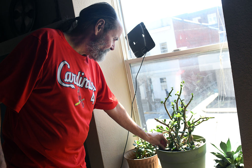 Denny Sercu checks his jade plants